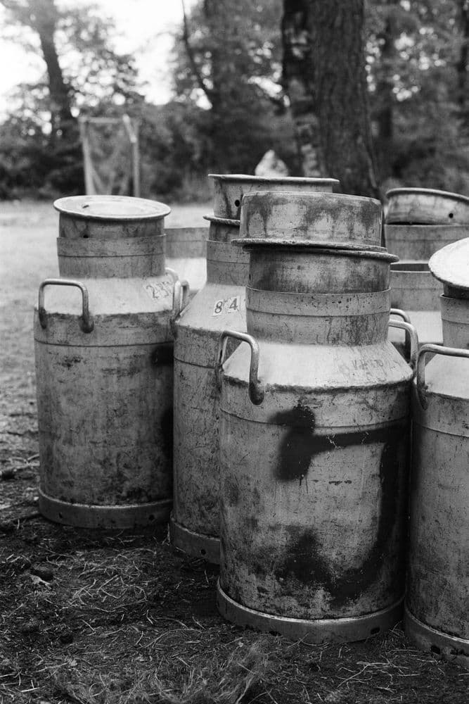 Default image description